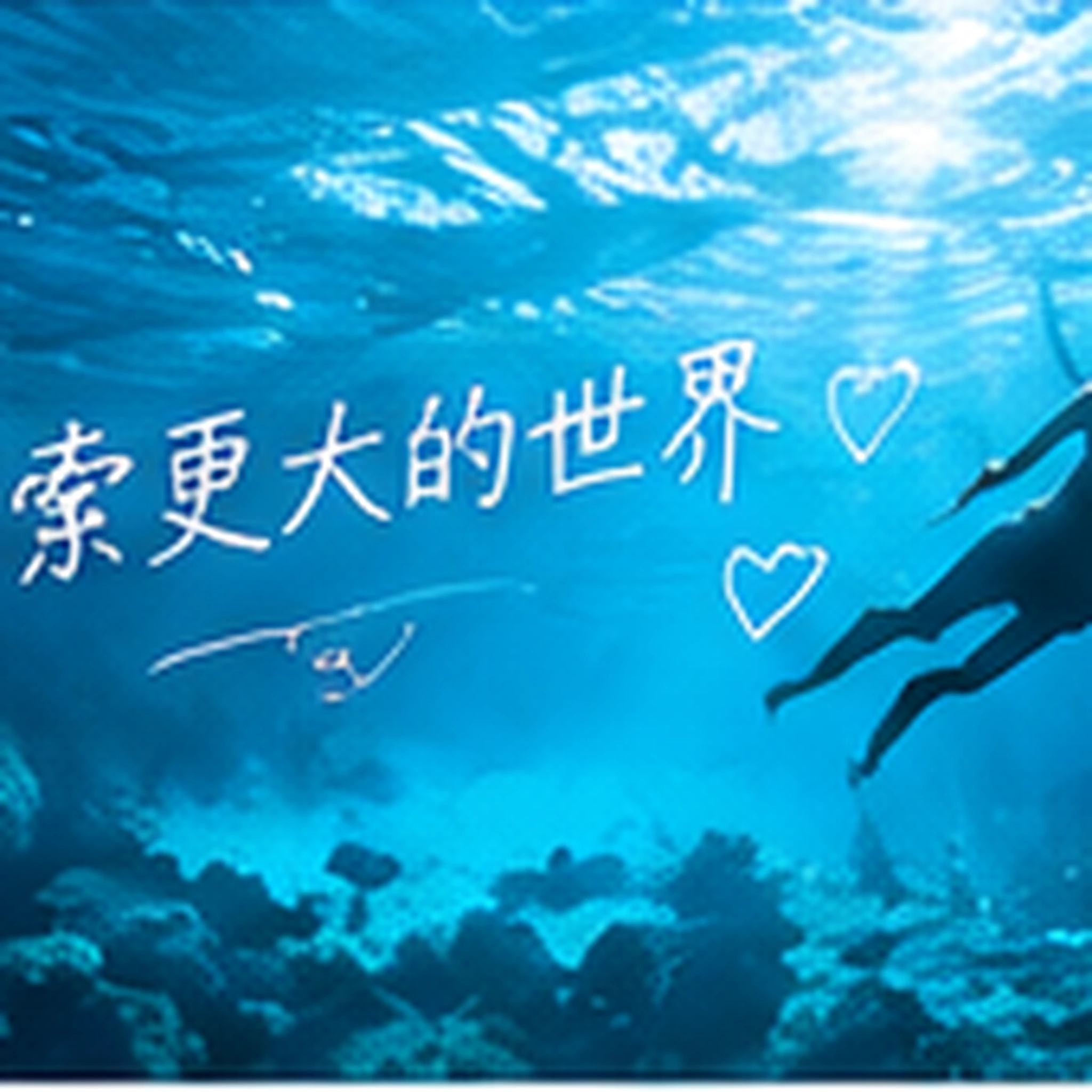 最近上新